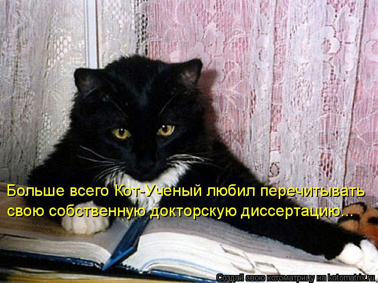 Котоматрица: Больше всего Кот-Ученый любил перечитывать свою собственную докторскую диссертацию...