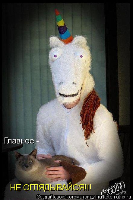 Котоматрица: НЕ ОГЛЯДЫВАЙСЯ!!! Главное -