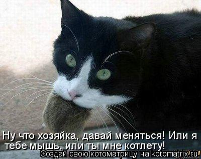 Котоматрица: Ну что хозяйка, давай меняться! Или я   тебе мышь, или ты мне котлету!