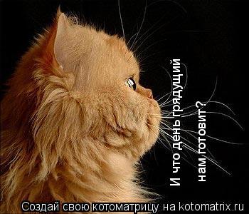 Котоматрица: И что день грядущий  нам готовит?