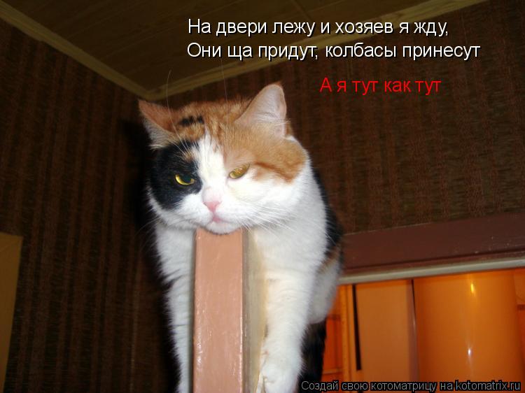 Котоматрица: На двери лежу и хозяев я жду, Они ща придут, колбасы принесут А я тут как тут