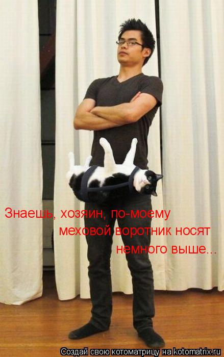 Котоматрица: Знаешь, хозяин, по-моему меховой воротник носят  немного выше...