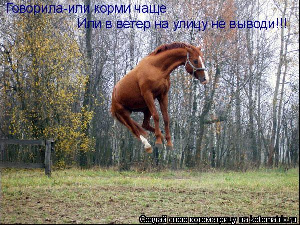 Котоматрица: Говорила-или корми чаще Или в ветер на улицу не выводи!!!