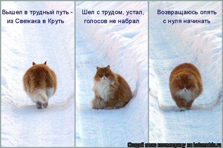 Вышел в трудный путь - Шел с трудом, устал, Возвращаюсь опять из Свежака в Круть ... Котоматрица: Вышел в трудный путь - Шел с трудом, устал, Возвращаюсь опять из Свежака в Круть голосов не набрал с нуля начинать