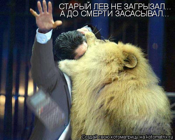 Котоматрица: ЗАГРЫЗТЬ НЕ ЗАГРЫЗУ... СТАРЫЙ ЛЕВ НЕ ЗАГРЫЗАЛ...  А ДО СМЕРТИ ЗАСАСЫВАЛ...