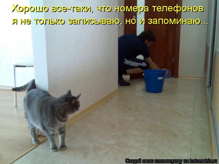 Котоматрица: Хорошо все-таки, что номера телефонов я не только записываю, но и запоминаю...