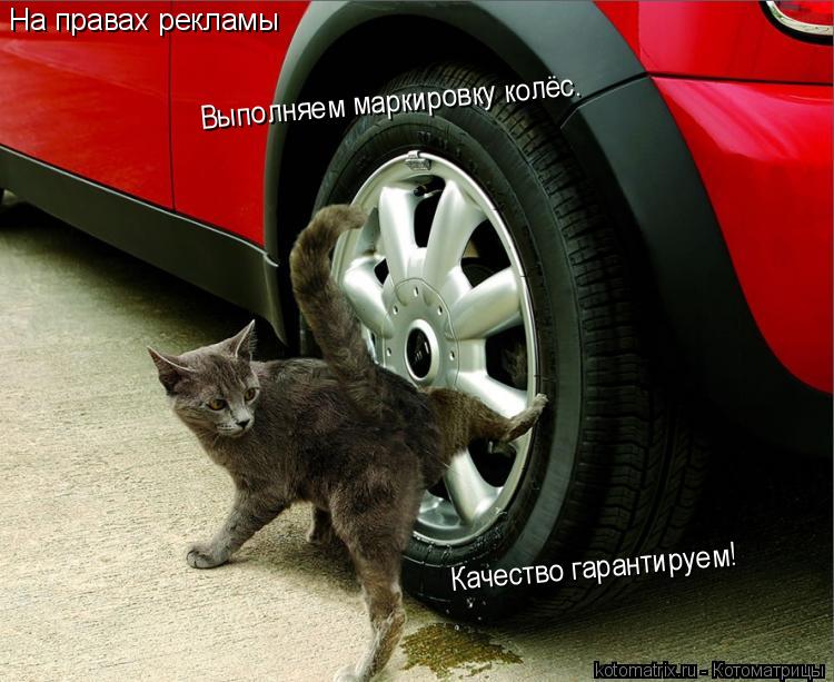 Котоматрица: На правах рекламы Выполняем маркировку колёс. Качество гарантируем!