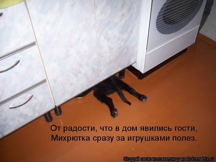 Котоматрица: Михрютка сразу за игрушками полез. От радости, что в дом явились гости,