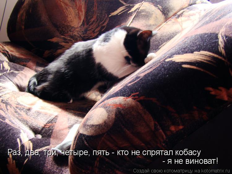 Котоматрица: Раз, два, три, четыре, пять - кто не спрятал кобасу - я не виноват!