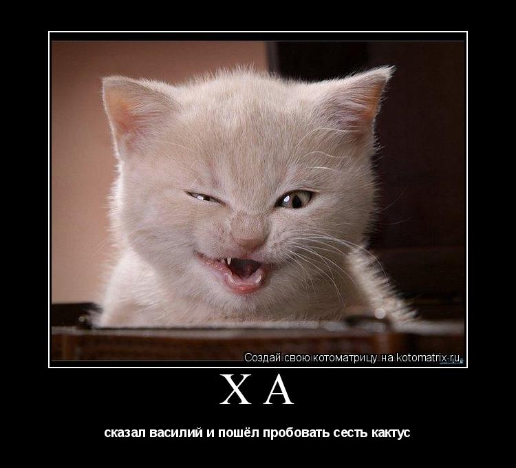 Котоматрица: ха  сказал василий и пошёл пробовать сесть кактус