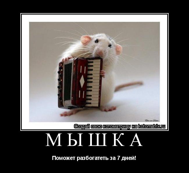 Мышка Поможет разбогатеть за 7 дней!... Котоматрица: Мышка Поможет разбогатеть за 7 дней!