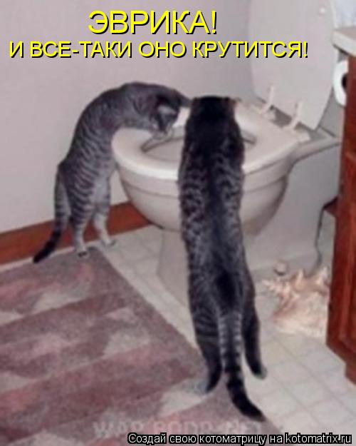Котоматрица: ЭВРИКА! И ВСЕ-ТАКИ ОНО КРУТИТСЯ!