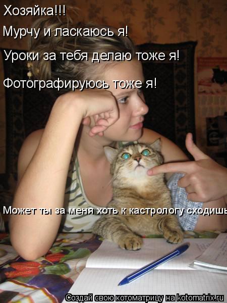 Котоматрица: Хозяйка!!! Мурчу и ласкаюсь я! Уроки за тебя делаю тоже я! Фотографируюсь тоже я! Может ты за меня хоть к кастрологу сходишь?