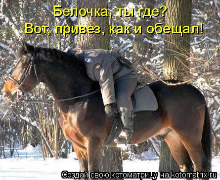 Вот, привез, как и обещал! Белочка, ты где?... Котоматрица: Вот, привез, как и обещал! Белочка, ты где?