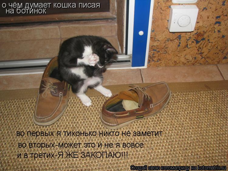 Котоматрица: во первых я тихонько никто не заметит во вторых-может это и не я вовсе и в третих-Я ЖЕ ЗАКОПАЮ!!! о чём думает кошка писая  на ботинок