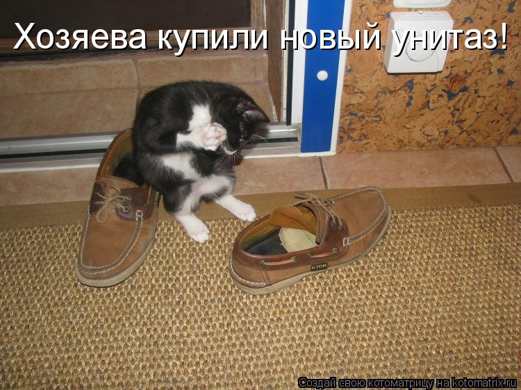 Котоматрица: Хозяева купили новый унитаз!