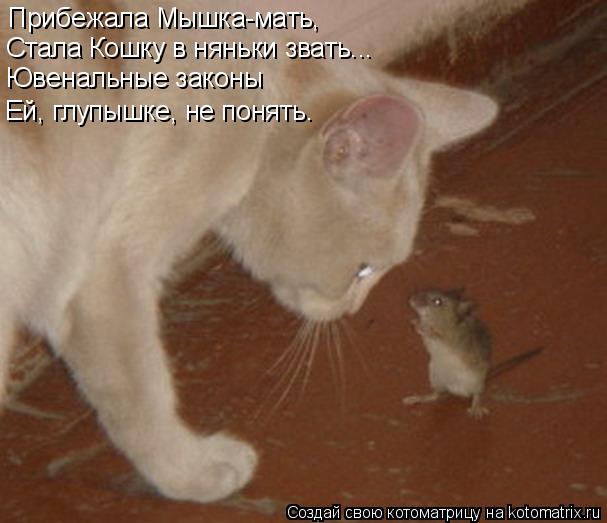 Котоматрица: Прибежала Мышка-мать,  Стала Кошку в няньки звать... Ювенальные законы Ей, глупышке, не понять.