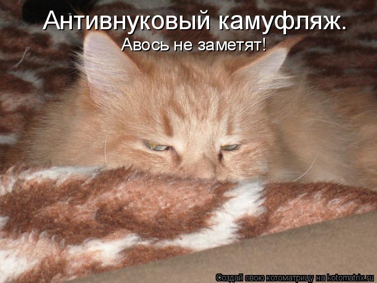 Котоматрица: Антивнуковый камуфляж.  Авось не заметят!