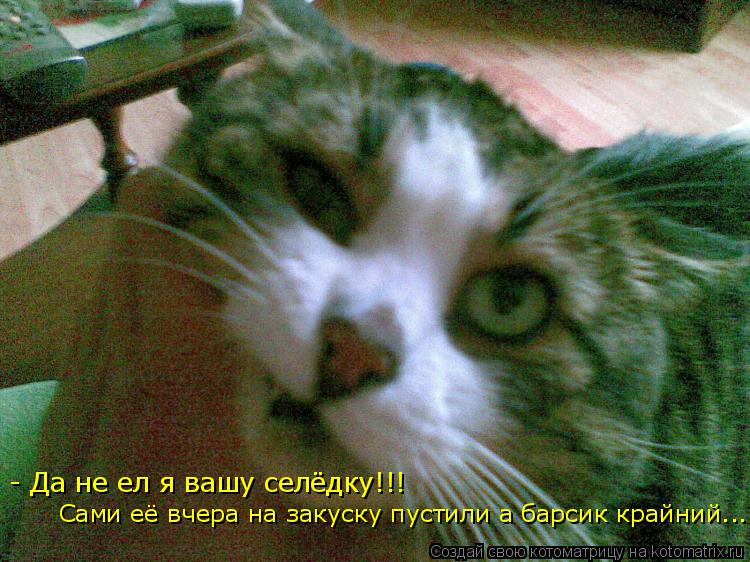 Котоматрица: - Да не ел я вашу селёдку!!! Сами её вчера на закуску пустили а барсик крайний...