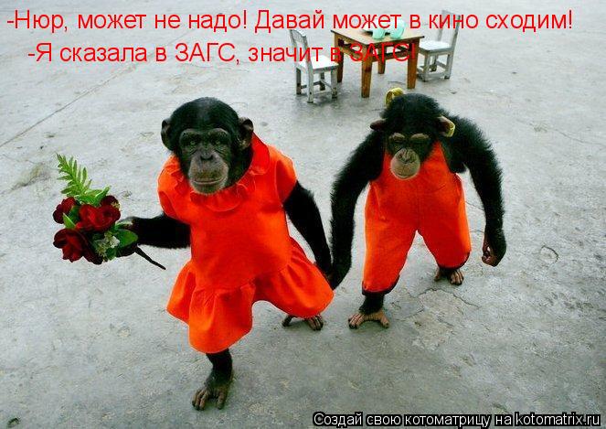 Котоматрица: -Нюр, может не надо! Давай может в кино сходим! -Я сказала в ЗАГС, значит в ЗАГС!