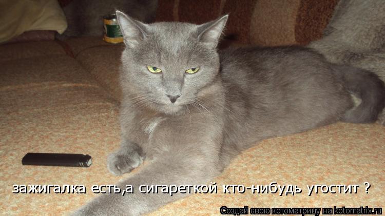 Котоматрица: зажигалка есть,а сигареткой кто-нибудь угостит ?