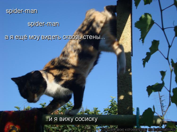 Котоматрица: spider-man spider-man а я ещё моу видеть сквозь стены ... ..и я вижу сосиску