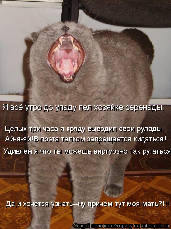 Я всё утро до упаду пел хозяйке серенады, Целых три часа я кряду выводил свои рулады. Ай-я-яй!В поэт... Котоматрица: Я всё утро до упаду пел хозяйке серенады, Целых три часа я кряду выводил свои рулады. Ай-я-яй!В поэта тапком запрещается кидаться! Удивлён я,