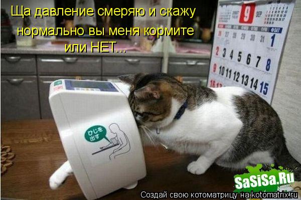 Котоматрица: нормально вы меня кормите или НЕТ... Ща давление смеряю и скажу