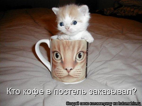 Котоматрица: Кто кофе в постель заказывал?