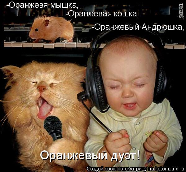 Котоматрица: -Оранжевя мышка, -Оранжевая кошка, -Оранжевый Андрюшка, Оранжевый дуэт!