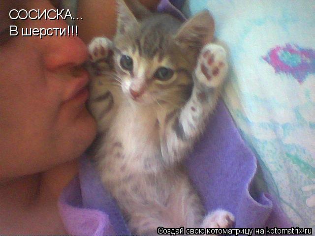 Котоматрица: СОСИСКА... В шерсти!!!