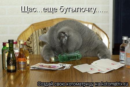 Котоматрица: Щас...еще бутылочку......