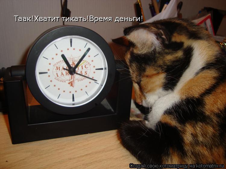 Котоматрица: Таак!Хватит тикать!Время деньги!