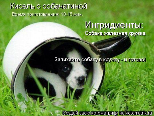 Котоматрица: Кисель с собачатиной Время приготовления: 10-15 мин. Ингридиенты: Собака,железная кружка Запихайте собаку в кружку - и готово!