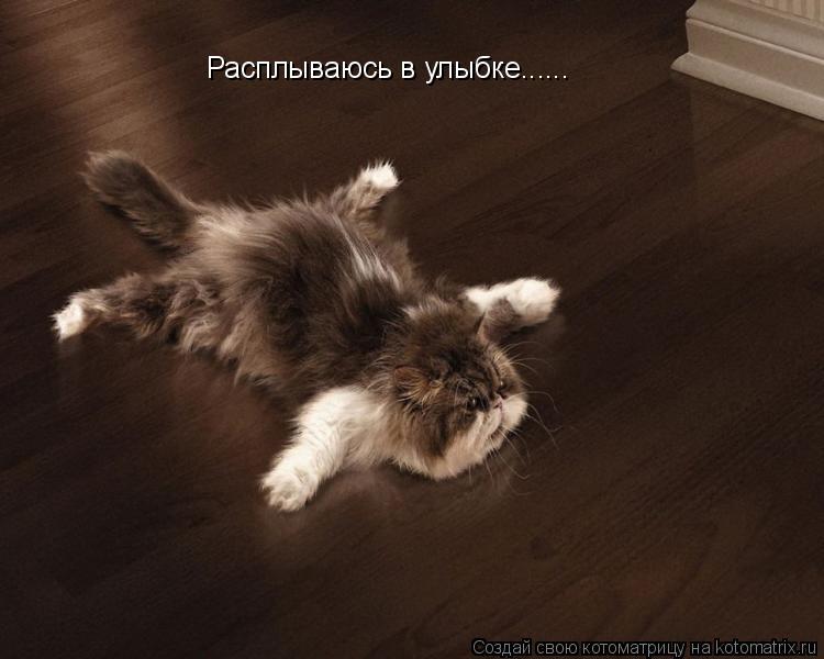 Котоматрица: Расплываюсь в улыбке......
