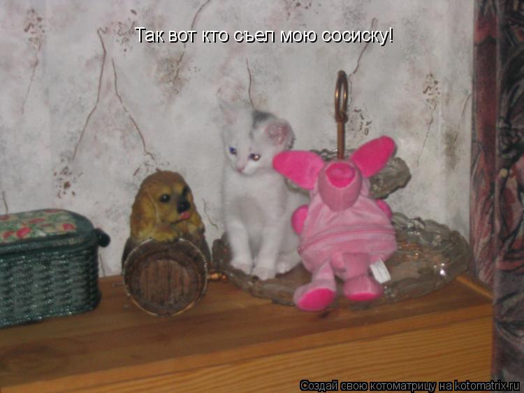 Котоматрица: Так вот кто съел мою сосиску!