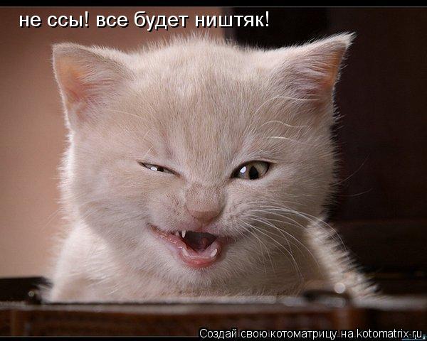 Котоматрица: не ссы! все будет ништяк!