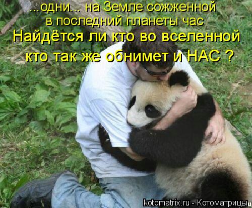 Котоматрица: ...одни... на Земле сожженной в последний планеты час Найдётся ли кто во вселенной кто так же обнимет и НАС ?