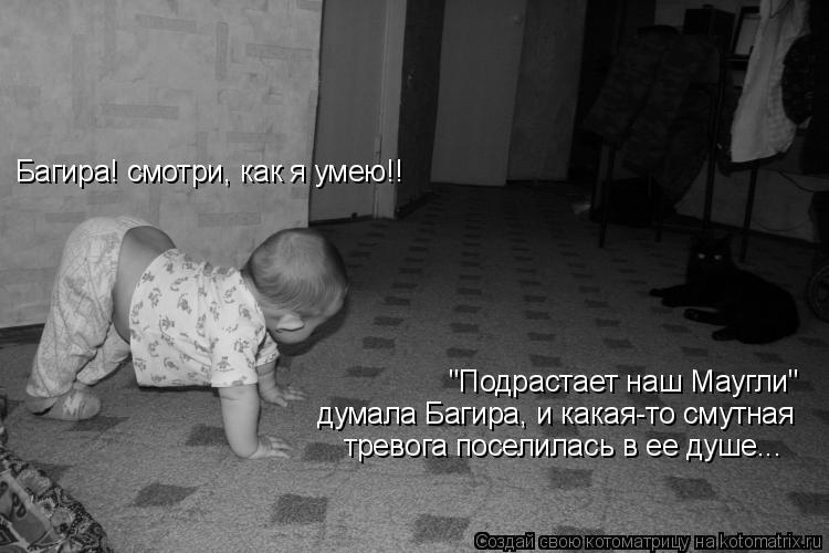 Котоматрица: Багира! смотри, как я умею!! "Подрастает наш Маугли" думала Багира, и какая-то смутная тревога поселилась в ее душе...