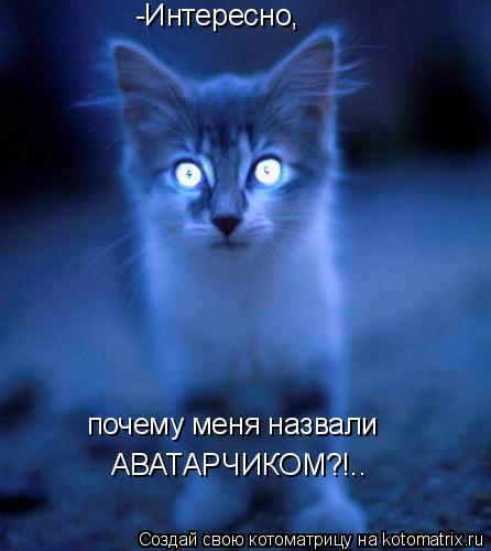 Котоматрица: -Интересно, почему меня назвали АВАТАРЧИКОМ?!..