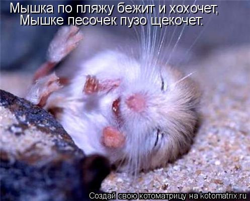 Котоматрица: Мышка по пляжу бежит и хохочет, Мышке песочек пузо щекочет.