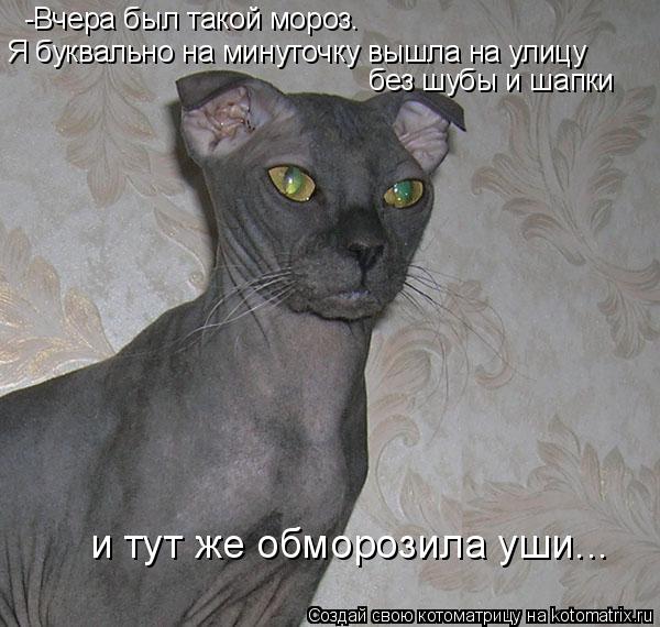 Котоматрица: -Вчера был такой мороз. Я буквально на минуточку вышла на улицу без шубы и шапки и тут же обморозила уши...