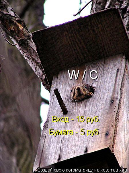 Котоматрица: W / C Вход - 15 руб. Бумага - 5 руб.