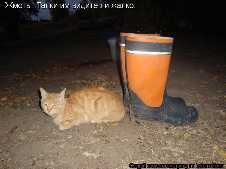 Котоматрица: Жмоты. Тапки им видите ли жалко.