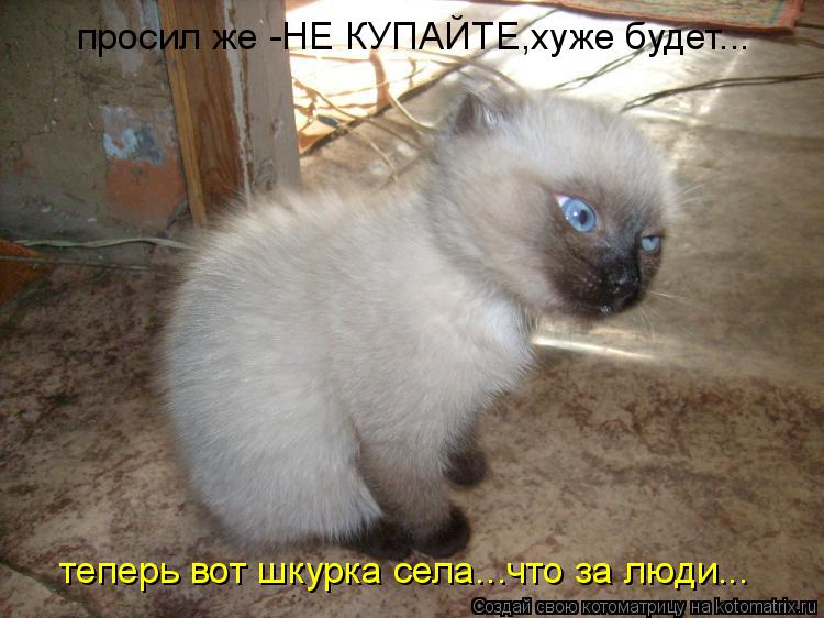 просил же -НЕ КУПАЙТЕ,хуже будет... теперь вот шкурка села...что за люди...... Котоматрица: просил же -НЕ КУПАЙТЕ,хуже будет... теперь вот шкурка села...что за люди...