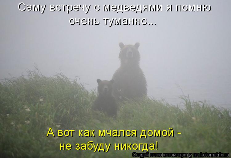 Саму встречу с медведями я помню очень туманно... А вот как мчался домой - не забуду никогда!... Котоматрица: Саму встречу с медведями я помню очень туманно... А вот как мчался домой - не забуду никогда!