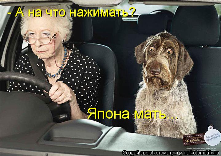 Котоматрица: - А на что нажимать? Япона мать...