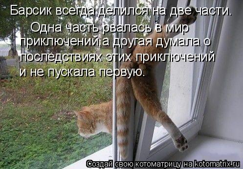 Котоматрица: Барсик всегда делился на две части. Одна часть рвалась в мир приключений,а другая думала о последствиях этих приключений и не пускала перву