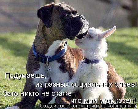 Подумаешь, из разных социальных слоев! Зато никто не скажет, что мой муж козел!... Котоматрица: Подумаешь, из разных социальных слоев! Зато никто не скажет, что мой муж козел!