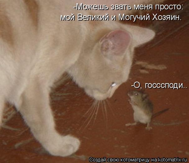 Котоматрица: -О, госссподи.. -Можешь звать меня просто: мой Великий и Могучий Хозяин.